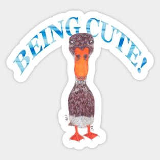 INDIAN RUNNER DUCK BEING CUTE Sticker